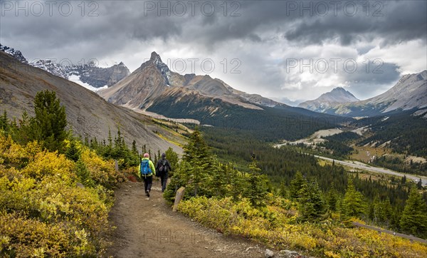 Two hikers between autumnal bushes