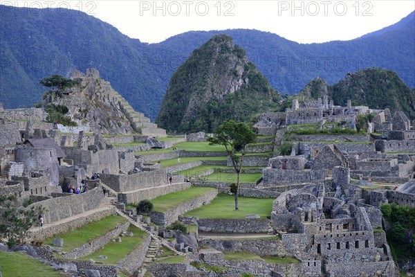 Inca ruined city with Mount Huayna Picchu at dawn