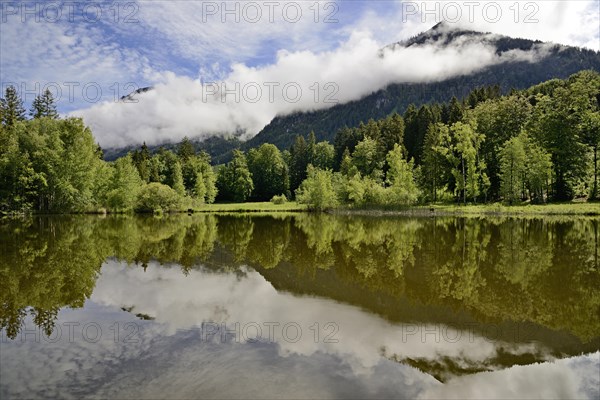 View over the marsh pond