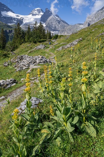 Hiking trail