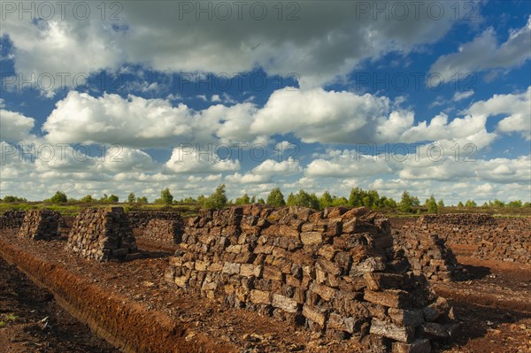 Peat cutting in the moor