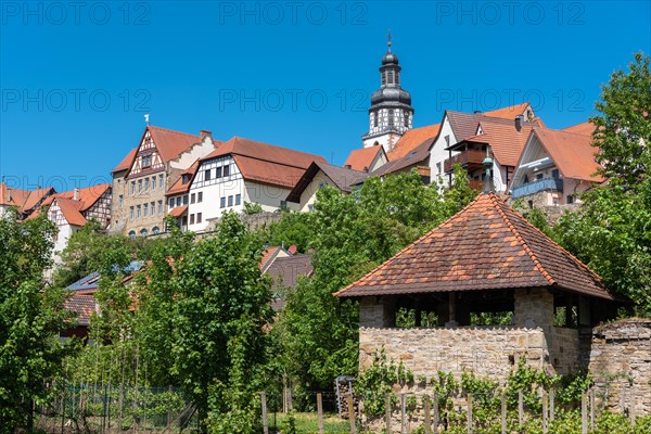 Townscape with historic town wall and Saint Martin Church