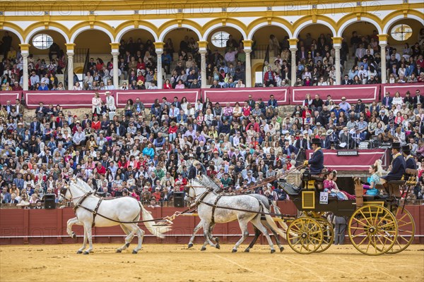 Plaza de Toros