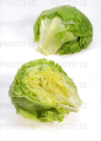 Iceberg lettuce