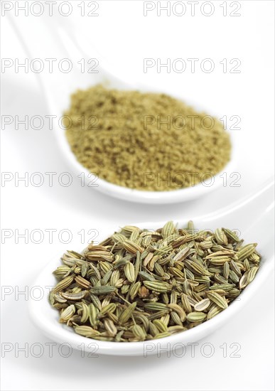 Powder and seeds of fennel