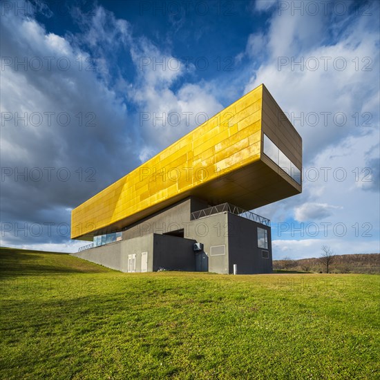 Nebra Ark on green meadow with cloudy sky
