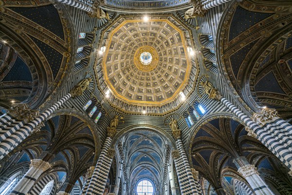 Transept with false dome