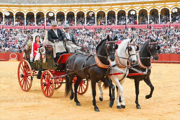 Plaza de Toros