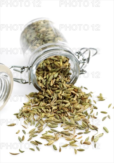 Seeds of fennel