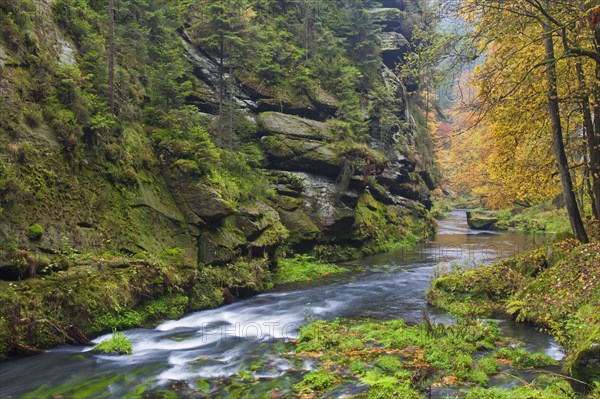 Kamnitz gorge