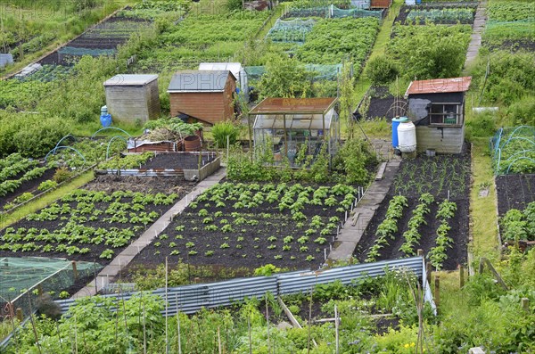 View of town allotments