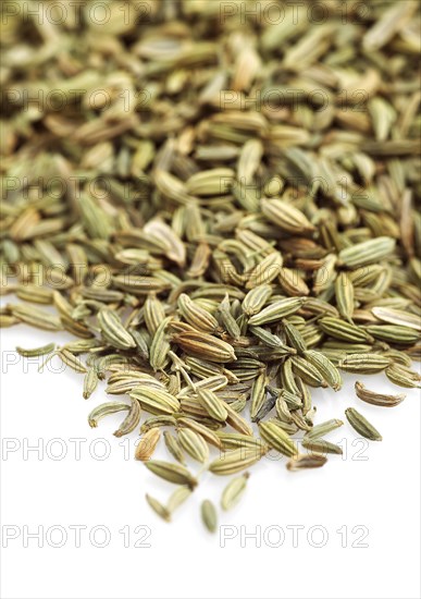 FENNEL SEEDS