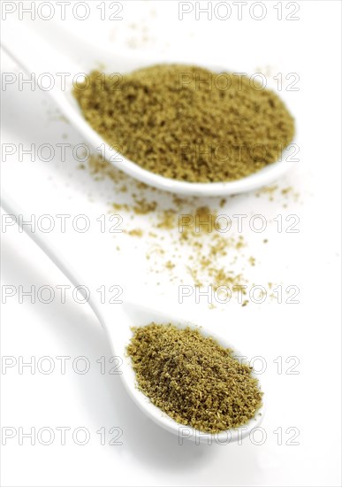 Fennel powder