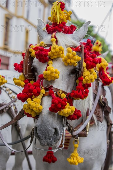 Feria de Abril folk festival