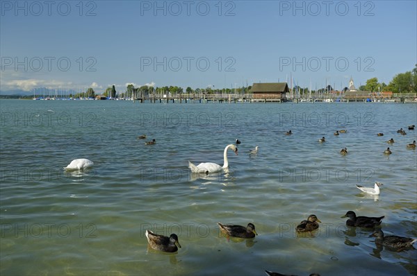 Chiemsee