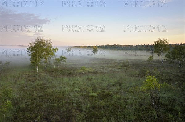 View from lookout tower onto moor