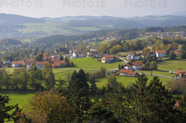 View of Neuschoenau from the tree top walk