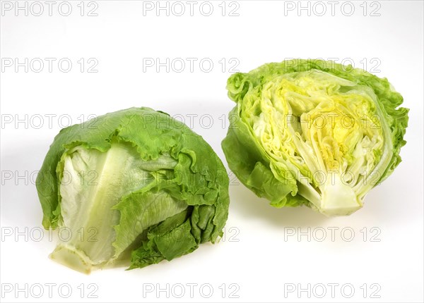 Iceberg lettuce