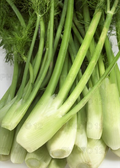 Small fennel