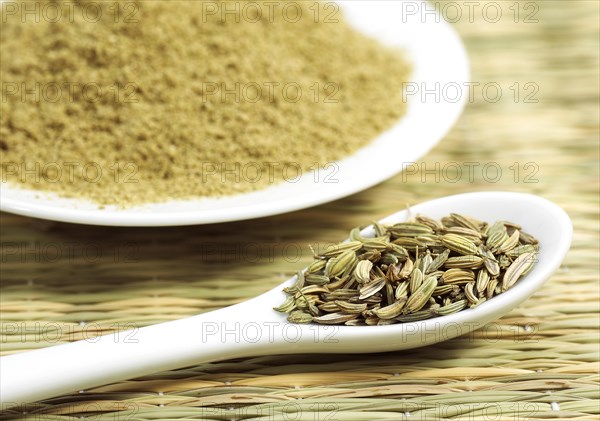 Powder and seeds of fennel