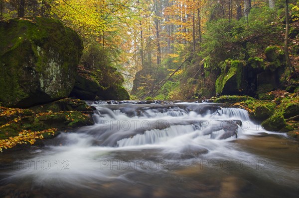 The Kirnitzsch flows through the Kirnitzschtal