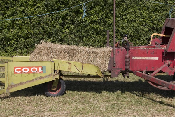 Haymaking