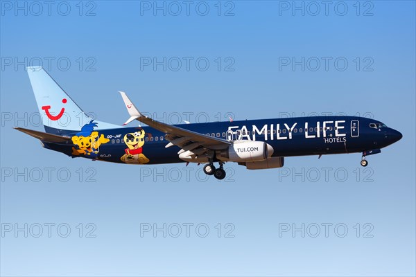 A TUI Boeing B737-800 with the registration OO-JAF and the special livery Family Life Hotels lands at Malaga Airport