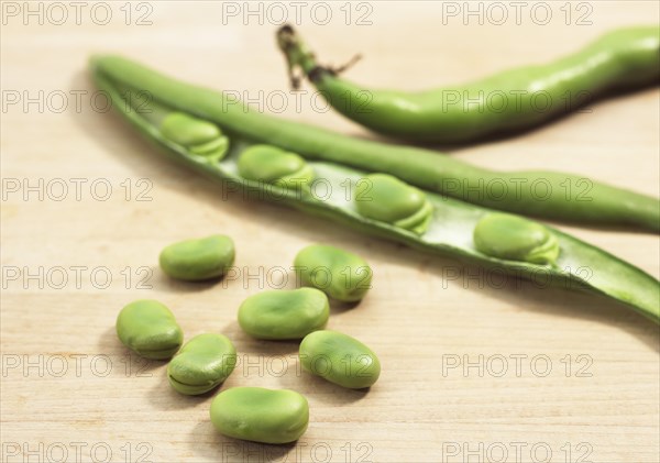 Fava bean