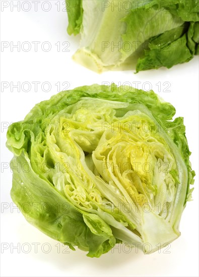 Iceberg lettuce