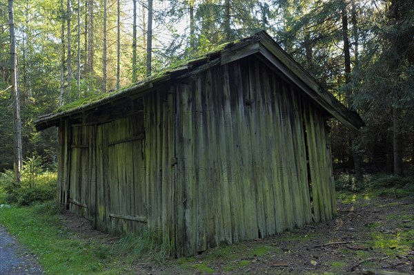 Dilapidated peat hut