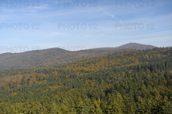 View over the Bavarian Forest National Park