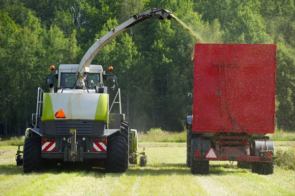 Claas Jaguar 850 forage harvester