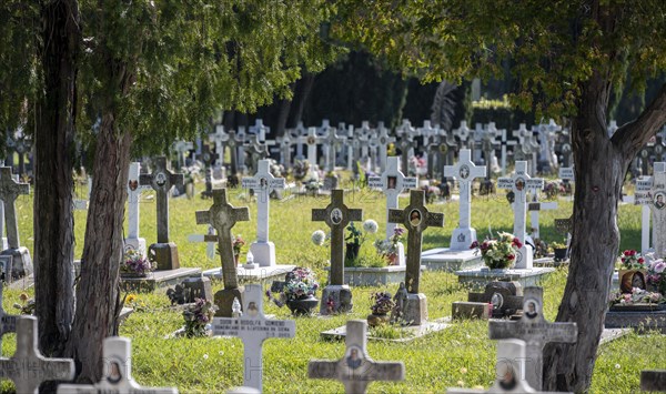 Graves with crosses and floral decorations