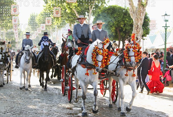 Horse-drawn carriages