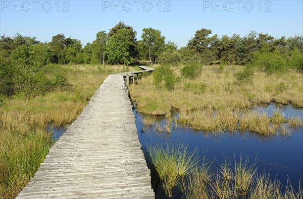 Groote Peel National Park