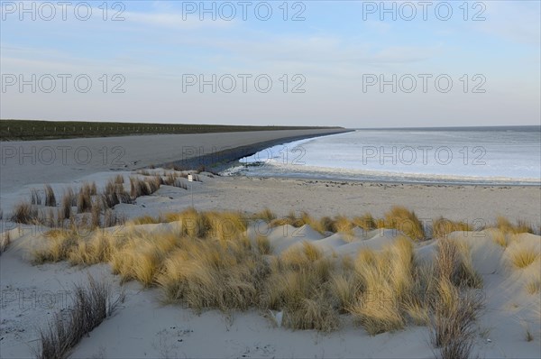Iced Wadden Sea