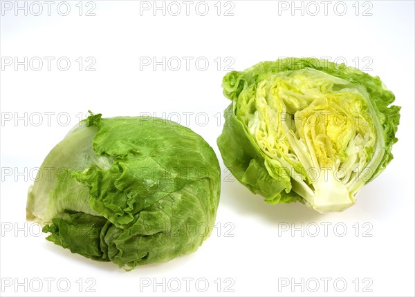 Iceberg lettuce