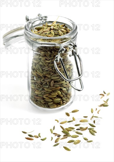 Seeds of fennel