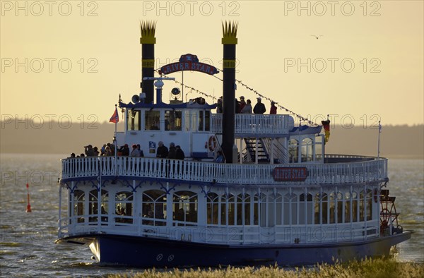 Paddle steamer with birdwatchers