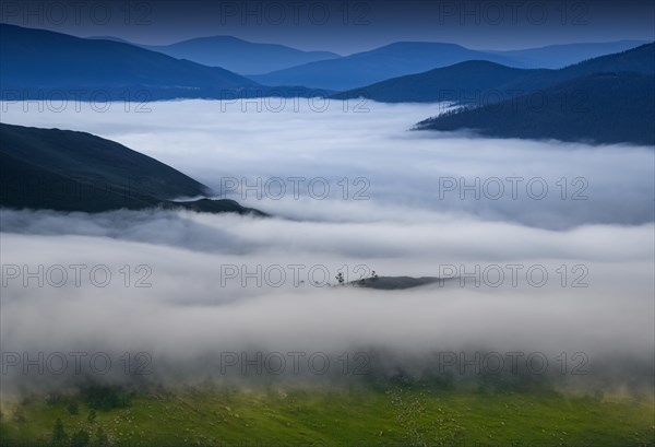 Morning fog in Orkhon riverbank