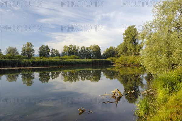 Mouth of the Prien into the Chiemsee