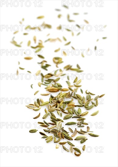 FENNEL SEEDS