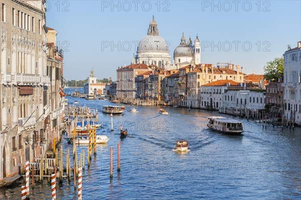 View from the Ponte dell'Accademia to the Grand Canal and the Basilica of Santa Maria della Salute