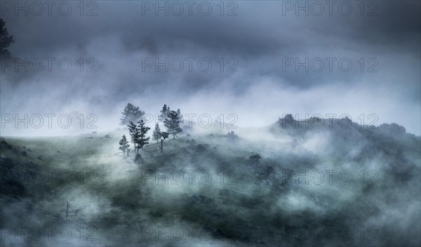 Fog in Orkhon river valley in the morning