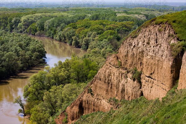 Kuban river