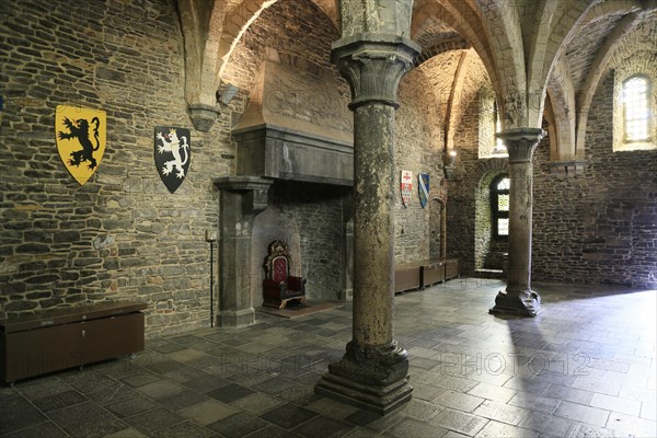 Hall with fireplace and vault