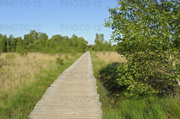 Groote Peel National Park