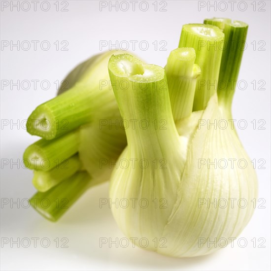 Fresh fennel