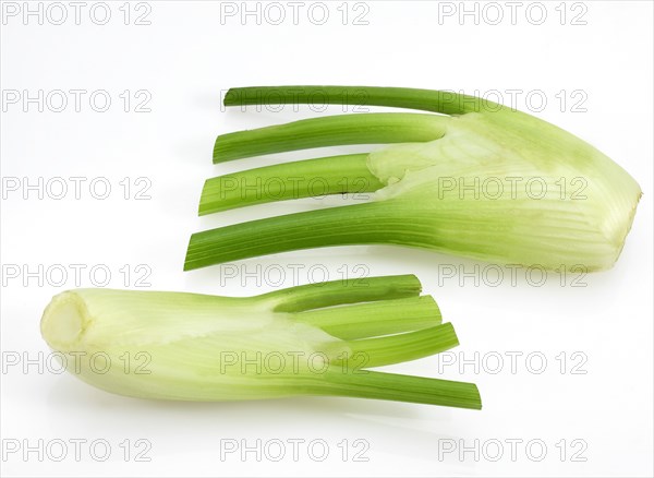 Small fennel