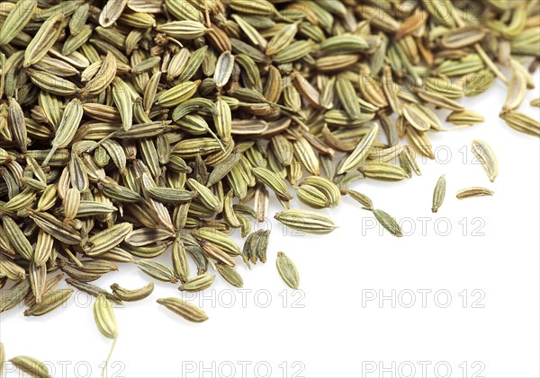 Fennel seed